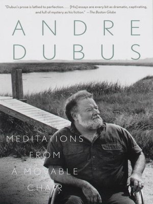 cover image of Meditations from a Movable Chair